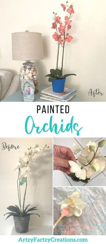painted orchids