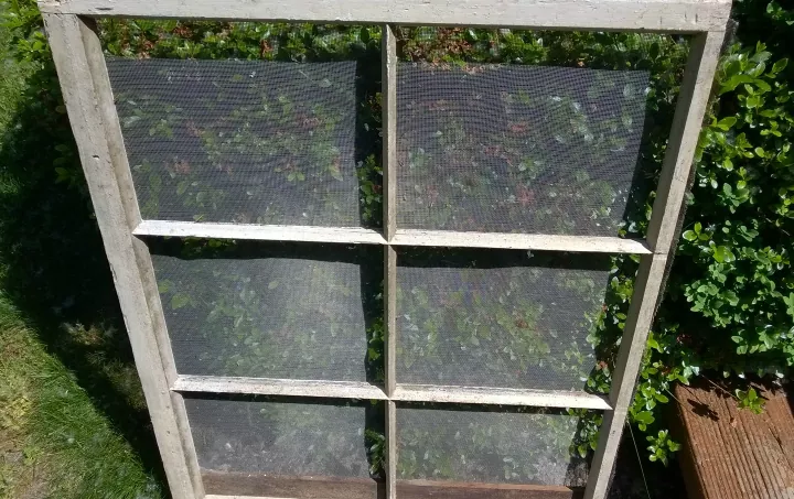 how to clean window screens like a pro, dirty window screen against bushes