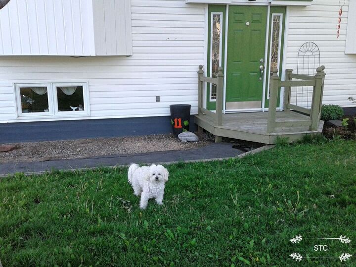 how we updated our walkway and shrub bed, Bichon Boy Inspector