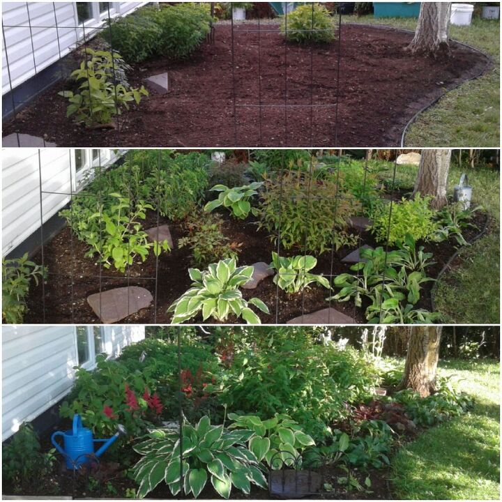 how we updated our walkway and shrub bed, Before During and After
