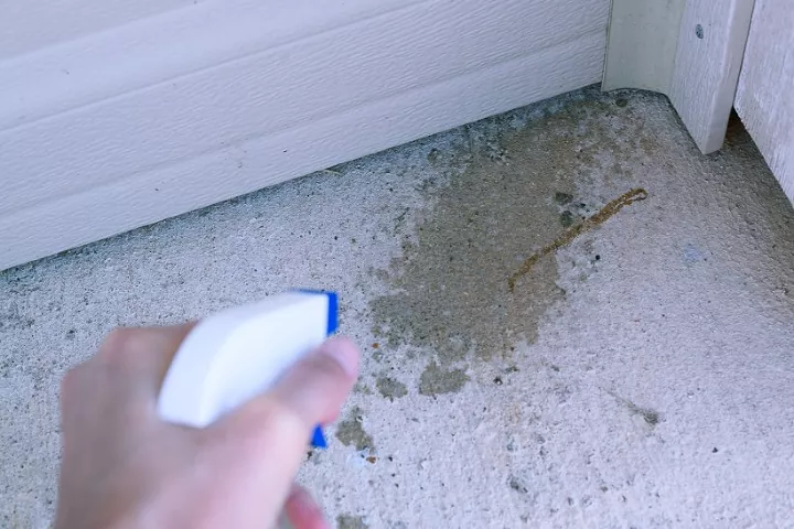 how to get rid of roaches inside and outside your home, how to get rid of roaches overnight