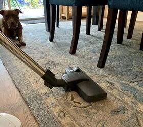 how to quickly clean your house from top to bottom, Vacuum running over carpet with dog in background