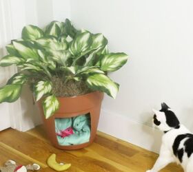 10 DIY ideas every pet mom needs to see