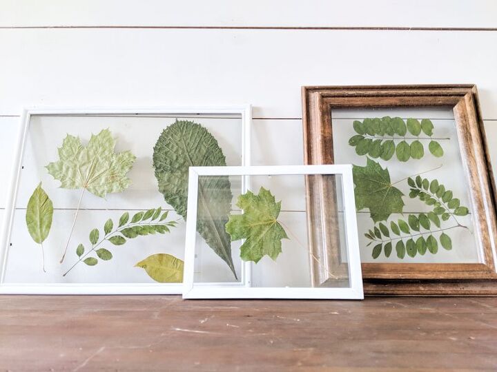 las 20 mejores ideas de decoracin con hojas que puedes probar este otoo, Decoraci n oto al DIY de la tienda del d lar Arte de hojas prensadas