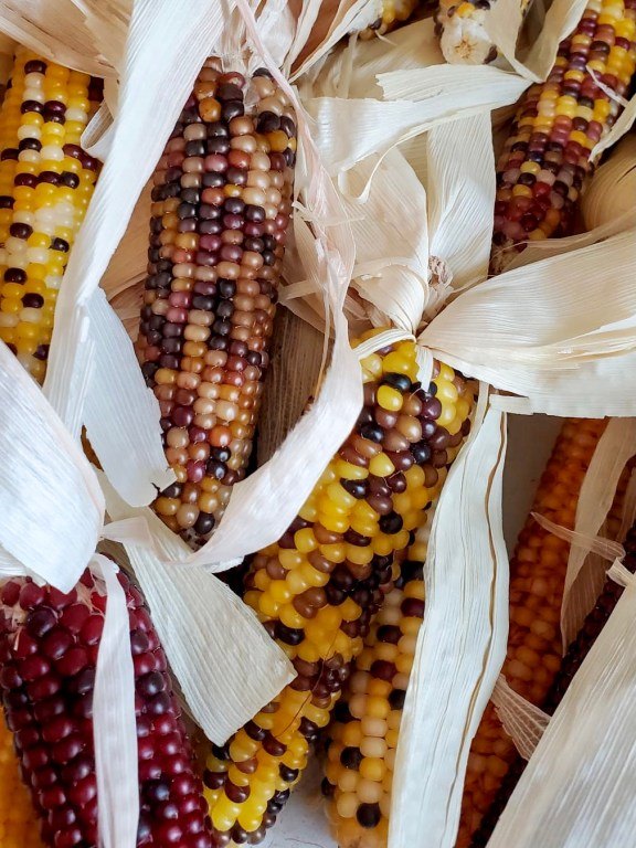 how to make an indian corn wreath