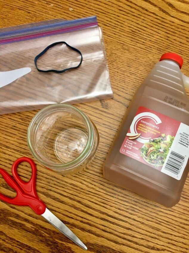 diy easy and effective fruit fly trap