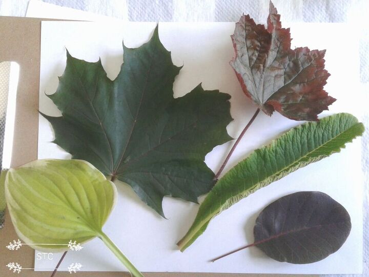 creating leaf art to style a fall frame tray, Leaves Gathered