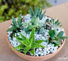 How To Make An Indoor Succulent Garden