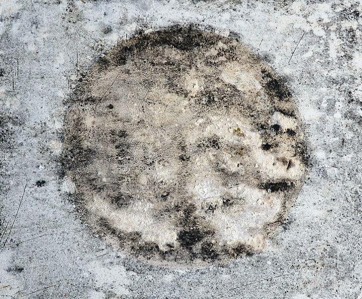 how to get rid of mold