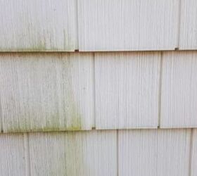 how to get rid of mold