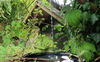 How to Make an Easy Hanging Bird Bath for Your Garden