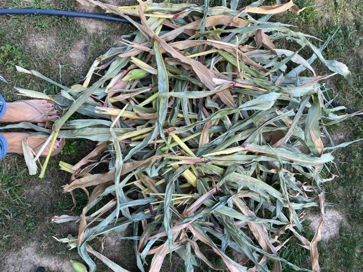 corn stalk wreath