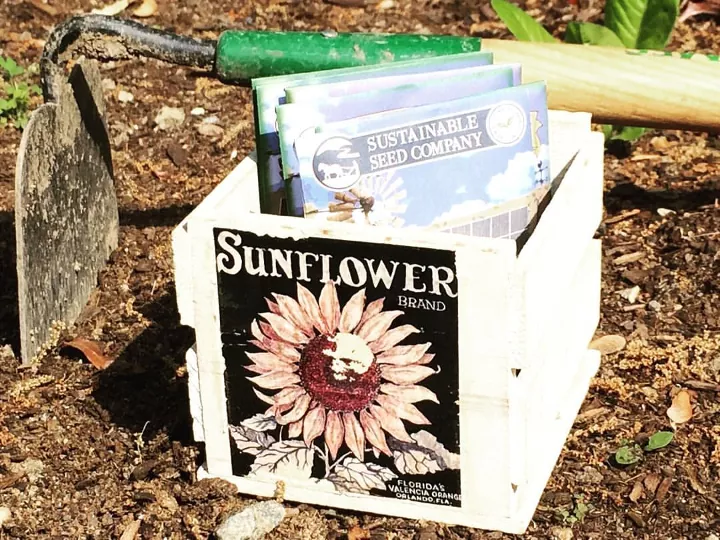 8 simple steps to your very own beautiful flourishing garden, Bags of seeds in a box with a sunflower picture