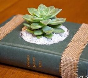 s 18 better ways to show off your houseplants, A vintage book succulent planter