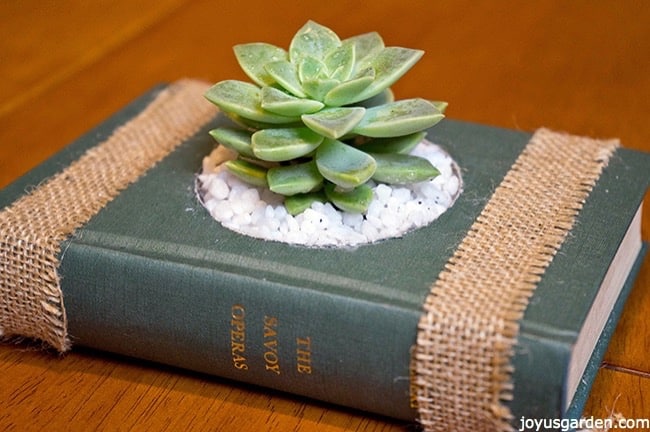 18 mejores formas de lucir tus plantas de interior, C mo crear macetas de suculentas a partir de libros antiguos