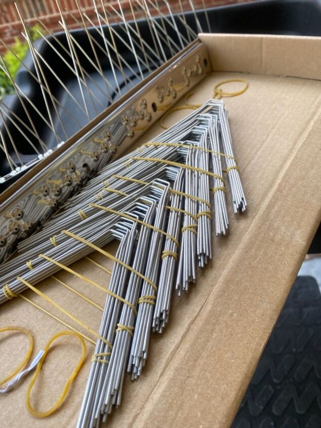 How to Effectively Keep Birds From Building Nests on Your Porch Hometalk