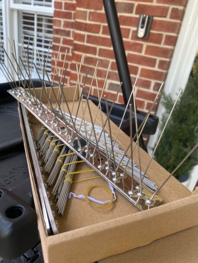 How to Effectively Keep Birds From Building Nests on Your Porch Hometalk