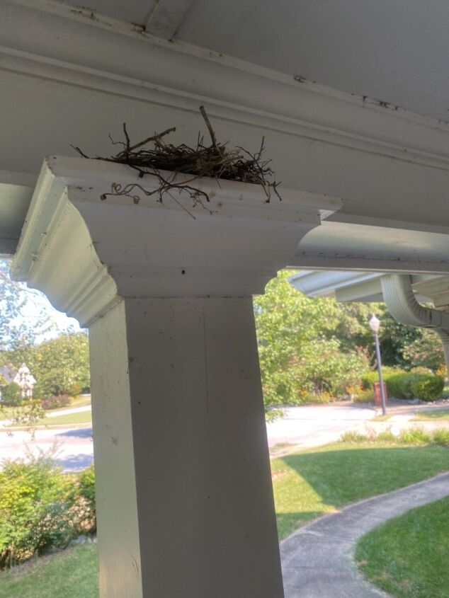 cmo mantener los pjaros de la construccin de nidos en su porche