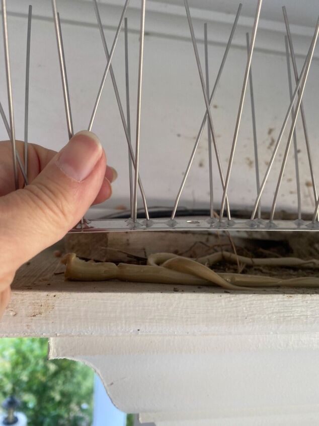 How to Effectively Keep Birds From Building Nests on Your Porch Hometalk