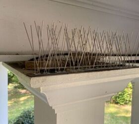 How to Keep Birds From Building Nests on Your Porch