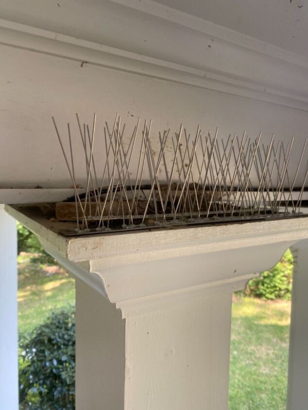 how to keep birds from building nests on your porch