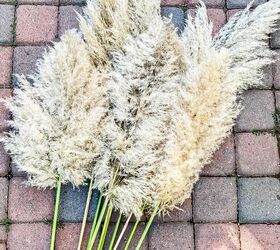 Cómo secar la hierba de las pampas en 3 sencillos pasos | Hometalk