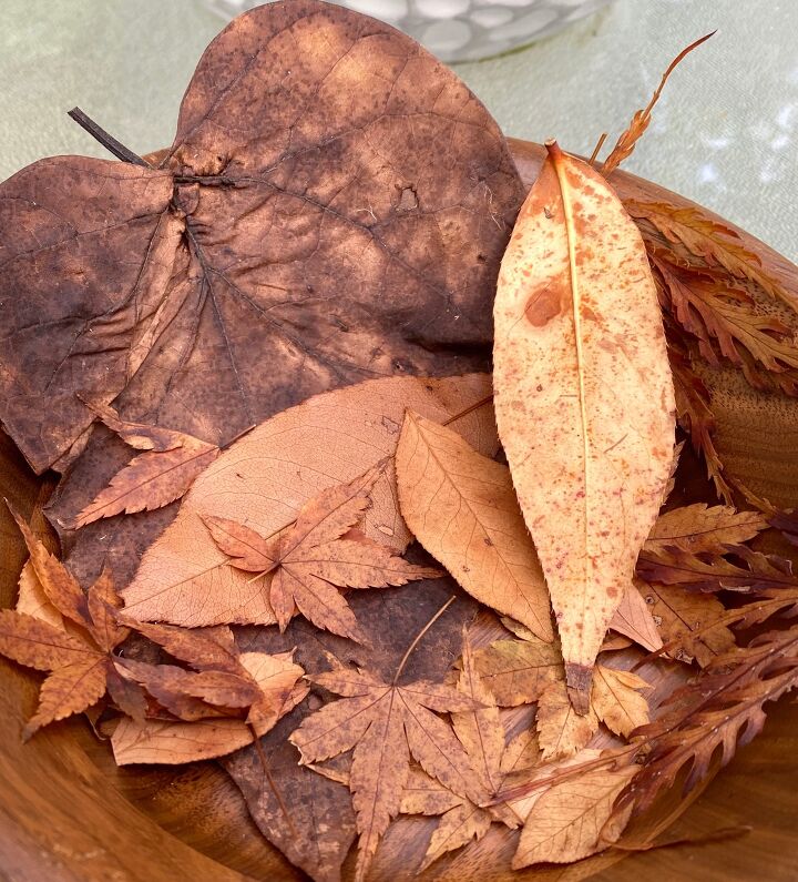 diy bellota gnomo de borla una calabaza y hojas preservadas en un bol de madera