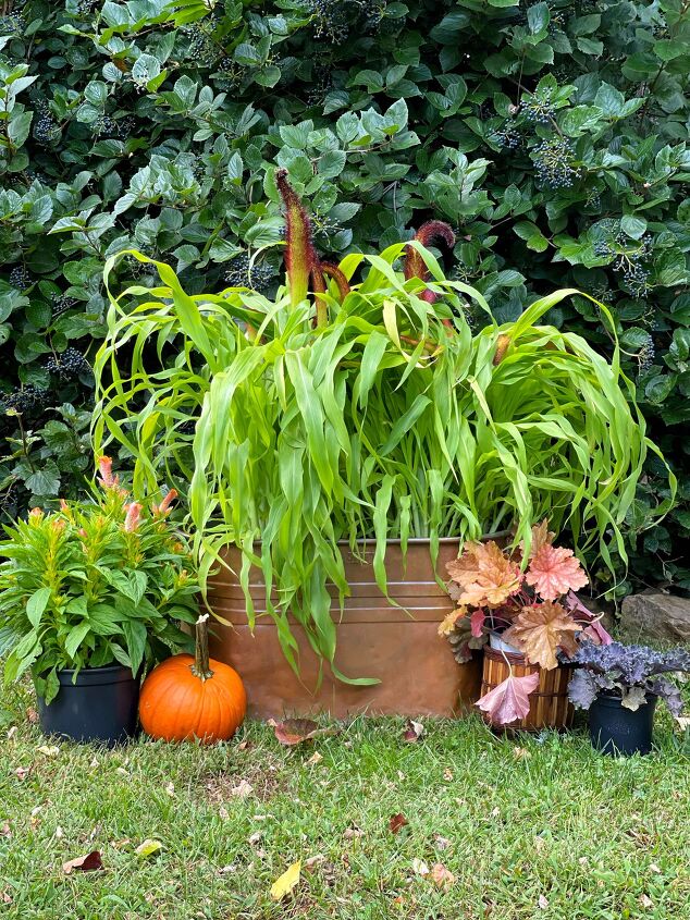 how to plant a fall garden in a flea market find