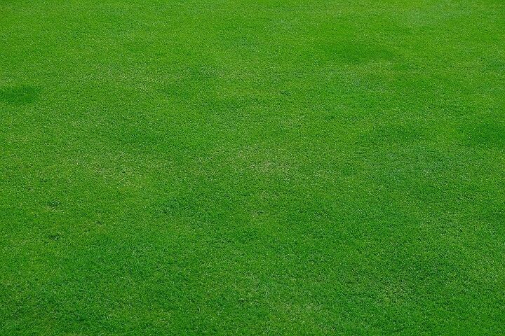 maintenance guide for keeping a lawn healthy