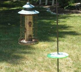 how to get rid of chipmunks around your garden, How to keep chipmunks from climbing up bird feeder