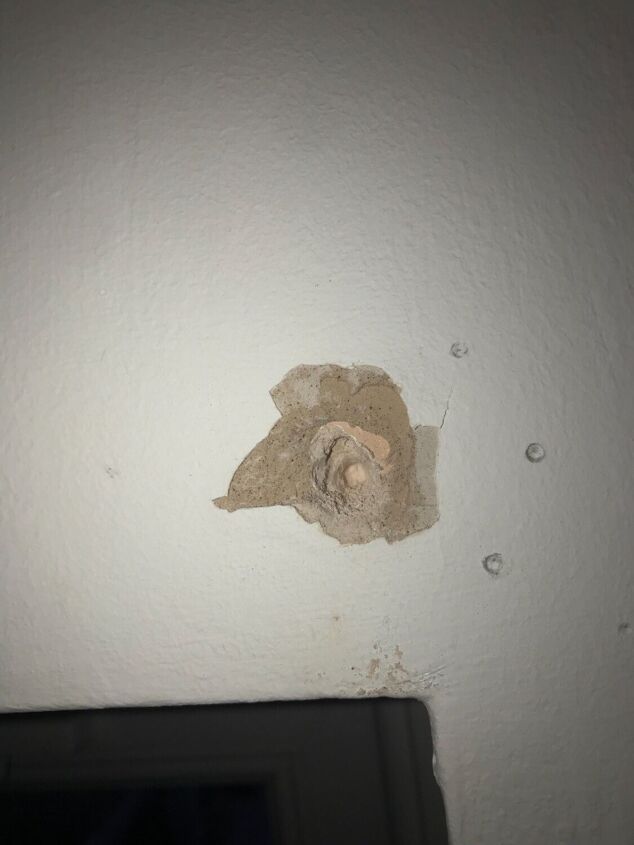 q screws won t stay in wall