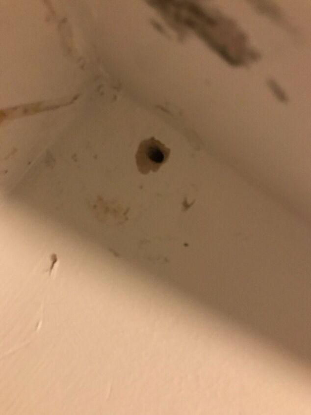 q screws won t stay in wall