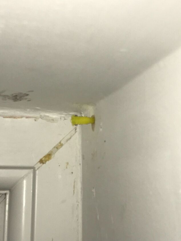 q screws won t stay in wall