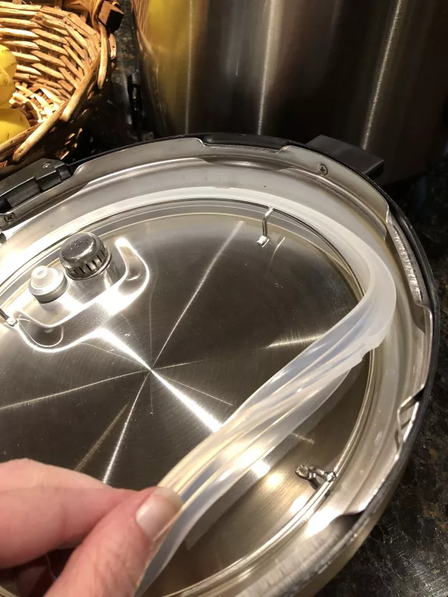 how to clean an instant pot inside and out, Instant Pot sealing ring