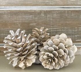 how to bleach pine cones, Pin for later