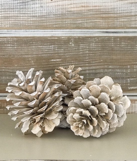 how to bleach pine cones, Pin for later