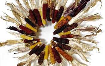 Craft With Corn: How to Craft a Stunning Colorful Corn Husk Wreath