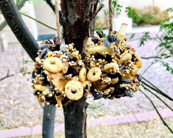 s 16 wild ways people are using pine cones this season, These fun bird feeders