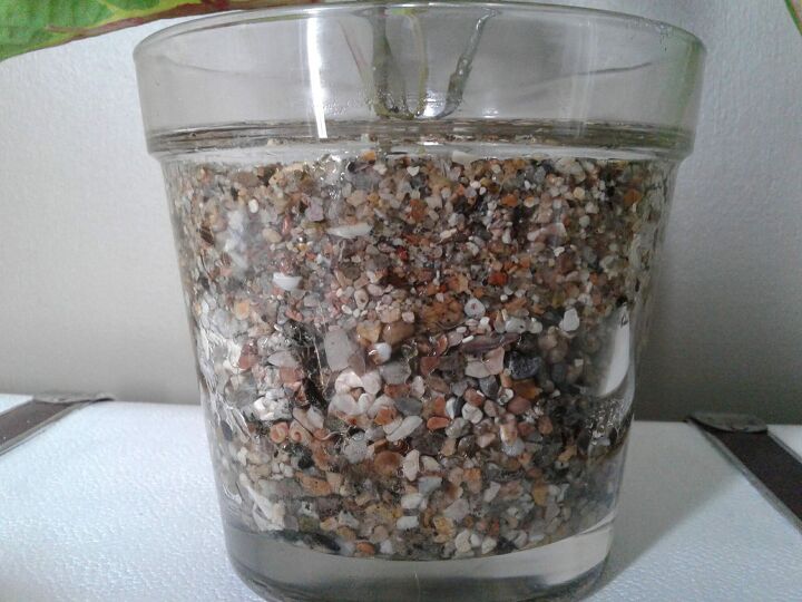 hortalias artificiais colocadas em um vaso de vidro com epxi, Vista lateral ap s a conclus o