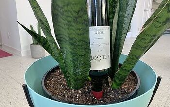 DIY Wine Bottle Self Watering Idea for Your Garden or Planters!