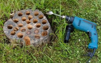 How to Kill a Tree Stump in 7 Different Ways