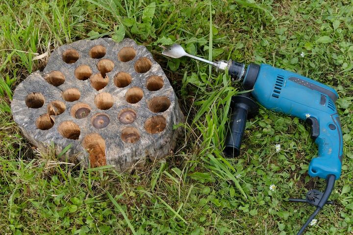 how to kill a tree stump, tree stump with large holes and a drill with spade bit