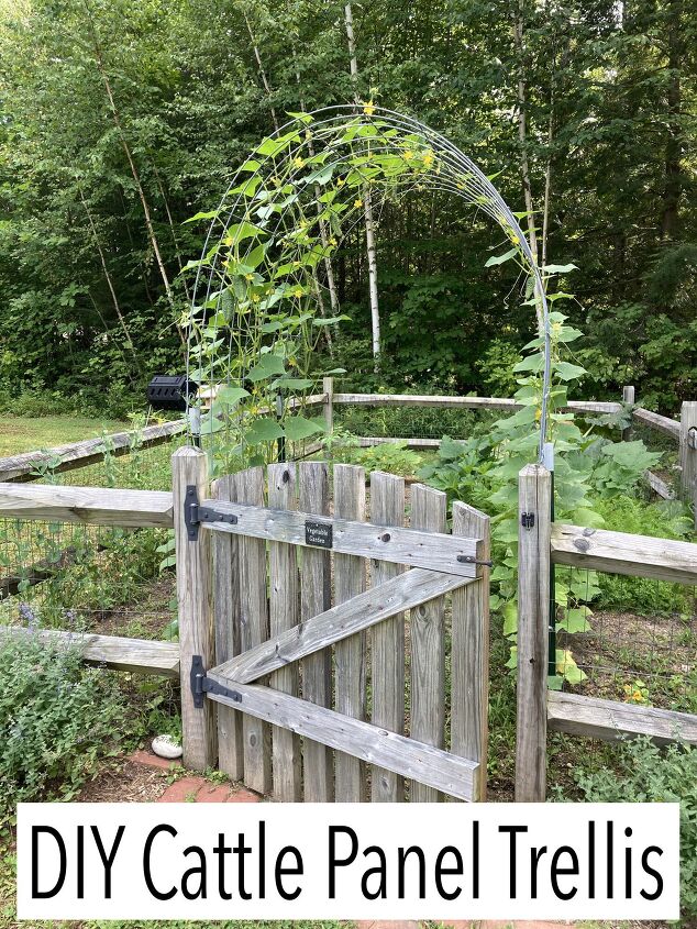 diy cattle panel trellis arch