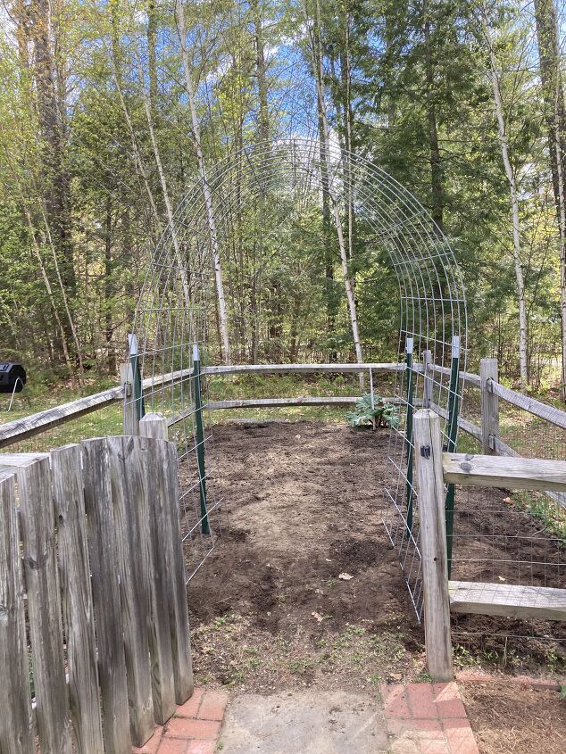 diy cattle panel trellis arch