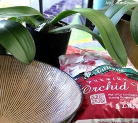 how to care for orchids so they ll bloom again and again, orchid leaves next to orchid potting mix and a tan striped container