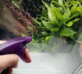 how to remove scratches from glass safely and effectively, purple spray bottle against a glass window with a green plant