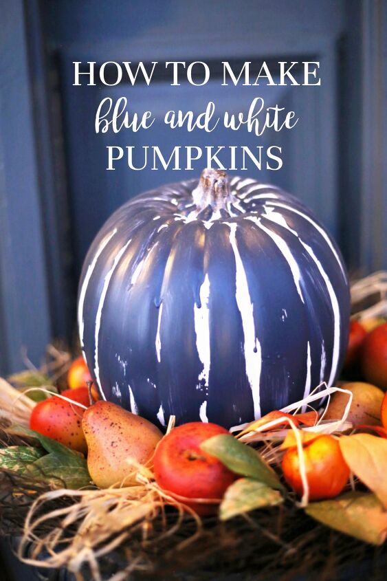 calabazas azules y blancas en noviembre