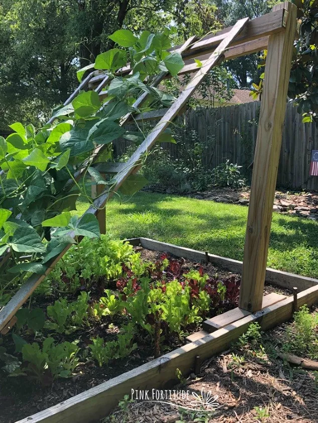 6 ways to keep rabbits out of your garden, A vegetable garden with a tilted ladder trellis