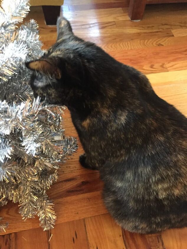 truco sencillo para mantener a los gatos fuera del rbol de navidad