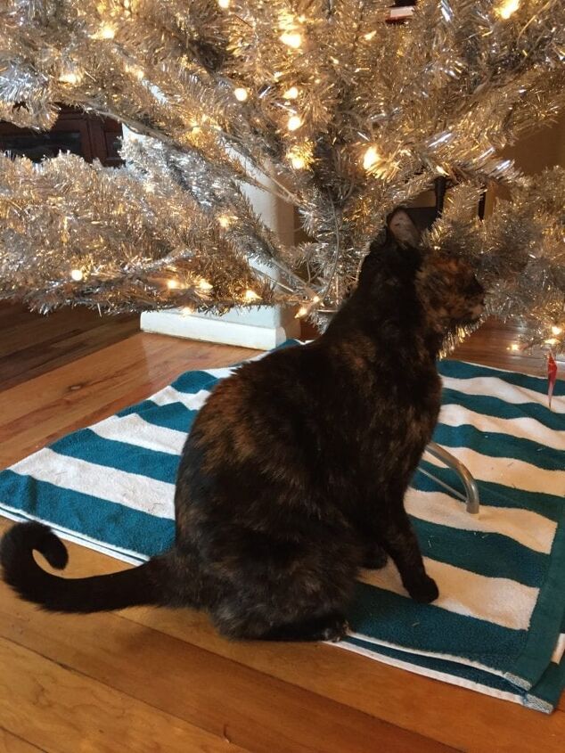 truco sencillo para mantener a los gatos fuera del rbol de navidad
